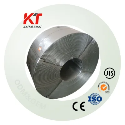 Pre Galvanized Steel Strip SGCC 20-250mm Width 0.15-3mm for Home Appliance Packaging Industry