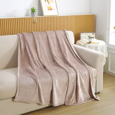 FY Customized Color 3D Embossed Jacquard Flannel Blanket Thickened Winter Throw with Warm Blanket