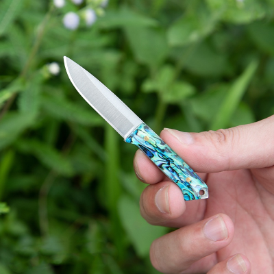 Mini Stainless Steel Fixed Blade Hunting Knife with Resin Handle with Sheath