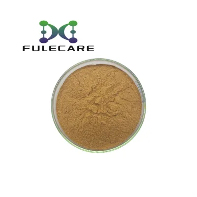 100% Natural Damiana Extract 10:1 Damiana Leaf Extract Powder