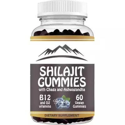 Shilajit & Chaga Ashwagandha Gummies | 60 Vegan Blueberry Flavored Dietary Supplement with Vitamins B12 and D2