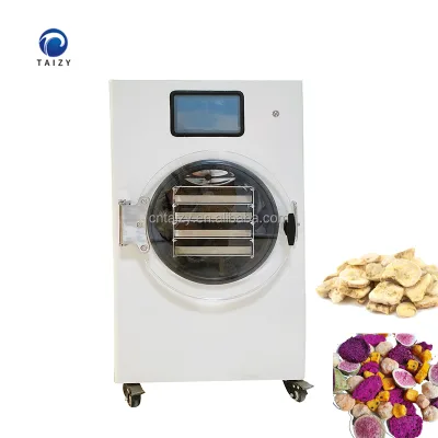 Banana Strawberry Freeze Drying Equipment Vegetables Freeze Dryer Machine