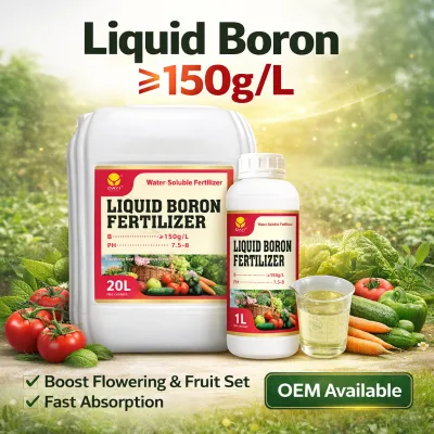 Special Liquid Boron Fertilizer for Fruit Trees Vegetables Cotton Fully Soluble Improve Yield and Commercial Value