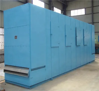 DWT Series Conveyor Cherry Dryer Machine