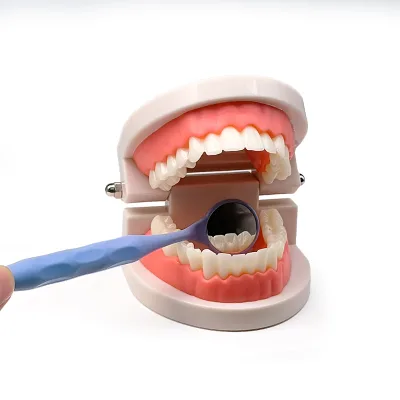 Guarddent Magnifying Customized Size 5 hd Dental Mouth Mirror Front Surface Intraoral Dental Mirror Anti Fog