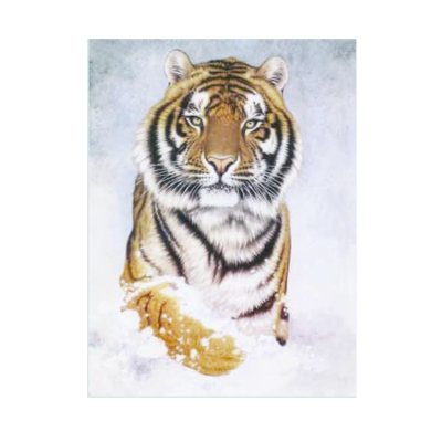 White tiger in White Snow Scenery Lenticular 3d Picture Image