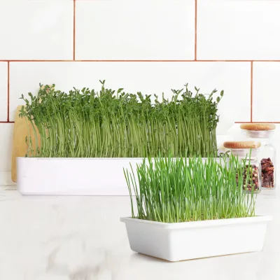 J&C Home Grow Tray for Microgreens Grow Kit Food Grade Hydroponic Grass Extra Strength Germinating Trays Seed Starting Kits