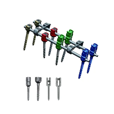 Pss 5.5&6.0 Polyaxial Pedicle Screw for Spinal System