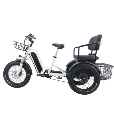 48V Long Tail Electric Cargo Bike Rear Hub Motor Long Range E-bike With Passenger Seat Lithium Battery