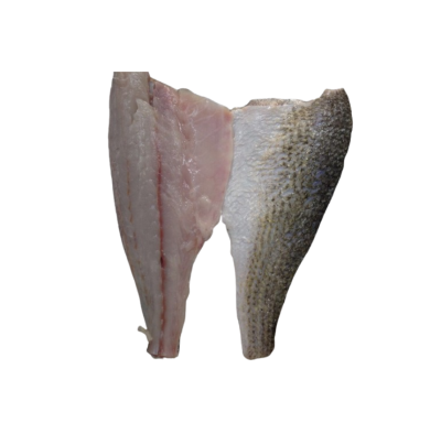 High Quality Frozen Red Fish/Red Drum Fillet Fish From China