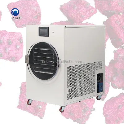 Mini Freeze Drying Equipment Dragon Fruit Blueberry Freeze Dryer Machine for Food Home