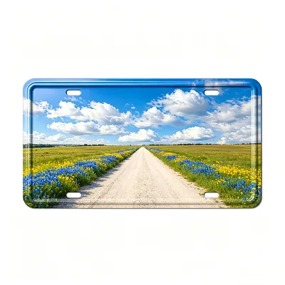 Custom Connecticut License Plate Personalized License Plates for Car 6x12 Inch Rust-Free Fade Resistant Aluminum USA