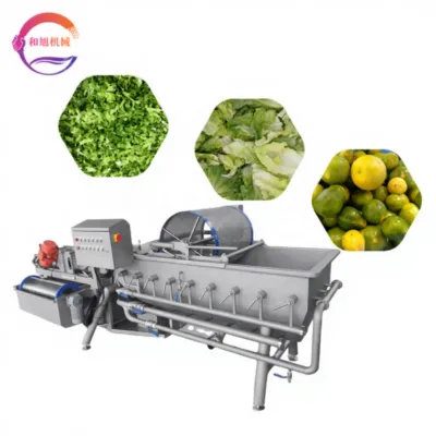 New Technology Upgraded Eddy Current Vegetable Salad Washing Machine Vortex Vegetable Cleaning Machine Salad Vegetable Line