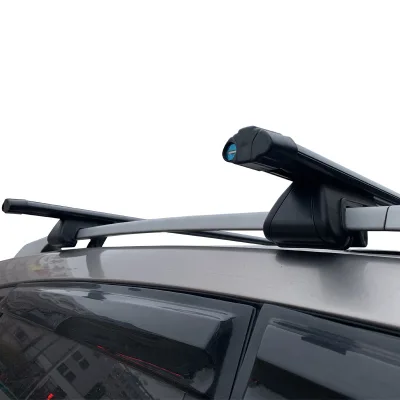 Black Rooftop Luggage Rack