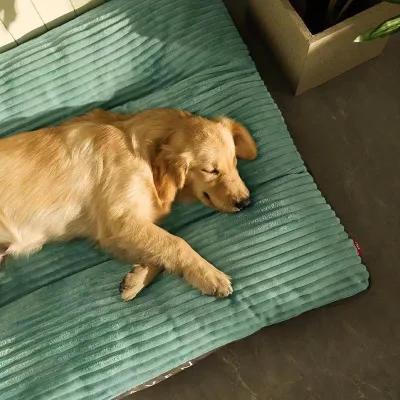 High Quality All-Season Velvet Dog Bed Fully Removable and Washable Large Pet Sleeping Mat Winter Warm for Cats