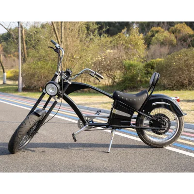 Powerful 750W Adult Electric Offroad Dirt Bike Single-Speed Chopper with Aluminum Alloy Double-Deck Rim and Fat Tire Ebike