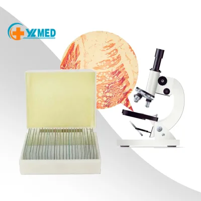 High Quality Botany Prepared Plant Leaf Microscope Slides Best Price Teaching Resource for School Plastic Glass Material Animal