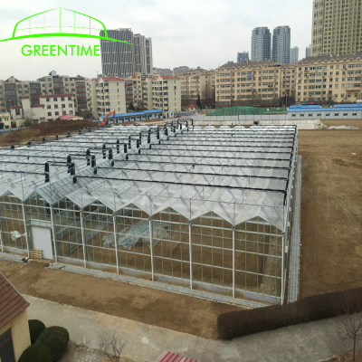 Hoop Glass Green House