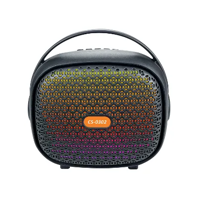Portable Bluetooth Speaker FM Radio TWS Wireless Small Accessory Speakers Accessory Microphone DC Power Source Home Boxed