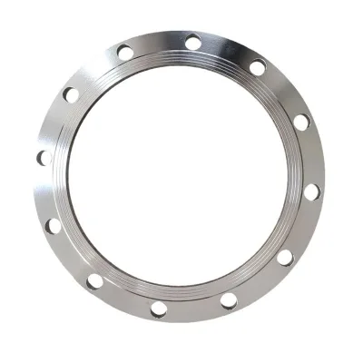 China Supplier Galvanized Flange Pvc Flange Connection Pipe Metal Bend Flange
