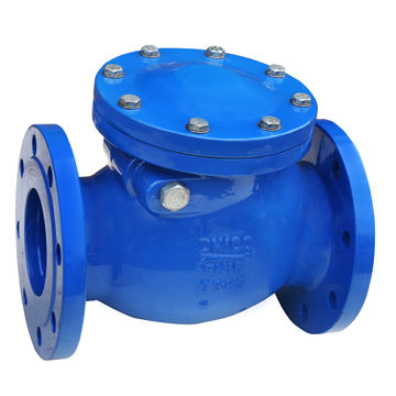 DIN cast iron swing check valve