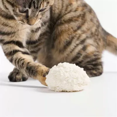 OEM cassava cat litter plant cat litter clumping ball shape cat litter factory