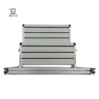 Anti-slip Durable Aluminum RV Double Steps