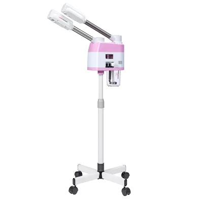 Profession Domestic Skin Moisturizing Skin Moisturizing Stretch Atomizing Touchscreen Facial Spa