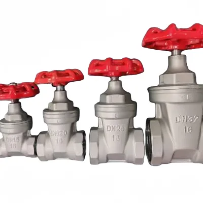 304 316 1 Inch DN25 Threaded Gate Valve SS Stainless Steel Gate Valve Manual Wire Buckle Gate Valve