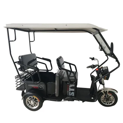 Everbright CE Certified 3-Wheel Scooter for Adults New Design 40-60km/h From Jiangsu China