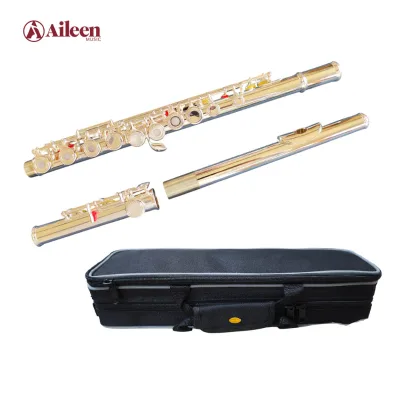 FL4011S-E General Grade Student Model Nickel Plated Y Style 16 Holes Flute
