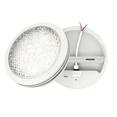 Factory Led Surface LED Panel Light 24W Surface Mounted Ceiling Light IP44 Rated Aluminum Pc Construction AC110v-265v Wall Light