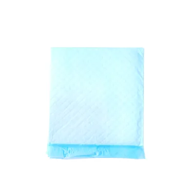 Adhesive Sticker Waterproof Disposable Pet Dog Training Pads Cheap Price Super Absorbent Thickened Puppy Potty Urine Pad Diaper