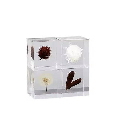 Acrylic Marine Life in Specimen Resin Paperweights Diverse Sea Creatures Preserved in Resin STEM Educational Toys for Kids