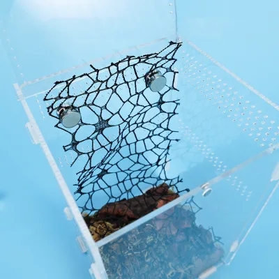 Climbing Pet Box Landscaping Decoration for Jumping Spiders, Climbing and Hiding Net Spiders
