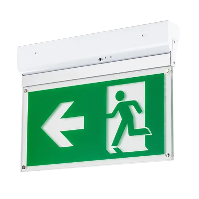 Outdoor Non Maintained 3W Lights Weather Proof Rechargeable Adjustable Portable Led Emergency Light