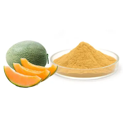 Hot Sale Natural Fruit Extract Hami Melon Juice Powder Hami Melon Fruit Juice Powder Organic Cantaloupe Juice Powder