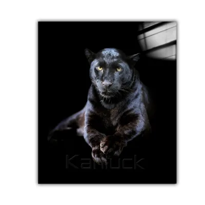 Silent Guardian the Enigmatic Black Panther's Gaze Print on Oil Canvas Painting Digital Printing 50x50cm Hot Selling