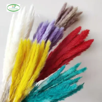 Wholesale Natural Dry Bleached Pampas Grass Wedding Home Table Arrangement White Preserved Dried Flower Small Pampas Grass Decor