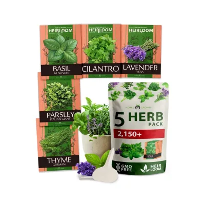 5 Variety Culinary Herb Pack and Grow in Home Garden Include Basil and Cilantro and Parsley and More