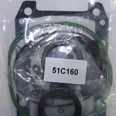 51 Series 51C060 51C080 51C110 51C160 51C250 Hydraulic Piston Motor Complete Seal Kits