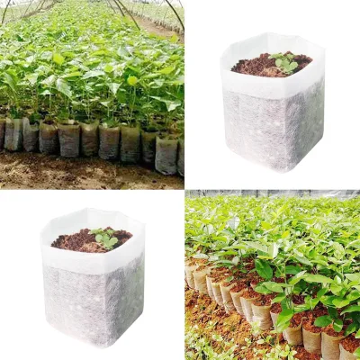 Nursery Special Non-woven Seedling Bags Wholesale Lightweight Grow Pots for Flower Sapling Planting