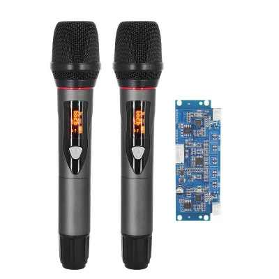 P12 UHF Frequency Modulation Dual Wireless Microphone Professional Two in One System