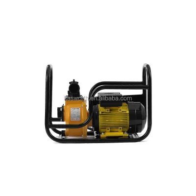 Factory Direct Sales High Efficiency Self-Priming Agriculture Irrigation Water Pump