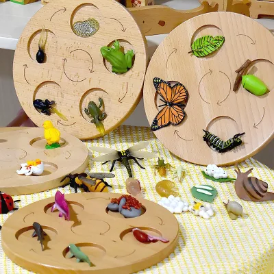 Wooden Animal Plant Simulation Model Life Growth Cycle Teaching Aids for Children's Educational Science Cognitive Insect Toys