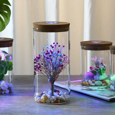 High Borosilicate Glass Vase with Battery Cork Lid Transparent Dried Flower Vase Hydroponic Plant Vase Desktop Ornament