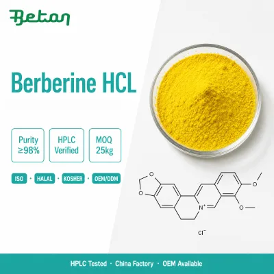 Berberine HCL 98% Powder CAS 633-65-8 Food Grade Bulk Raw Material for Nutraceutical Industry OEM Factory Wholesale Supplier