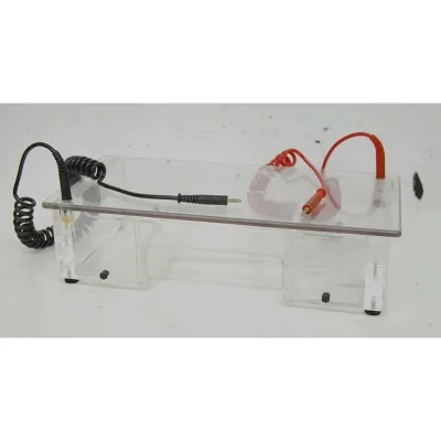 DNA Sub Cell Gel Electrophoresis System Power Cords Lab Horizontal Electrophoresis Tank for DNA RNA Separation