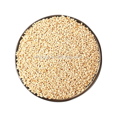 Best Quality Raw Sesame From Reliable Supplier at Low Price