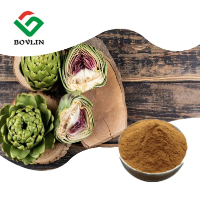 Artichoke Extract 10:1 Wholesale Price Natural Artichoke Leaf Extract Powder 2.5% 5% Cynarine